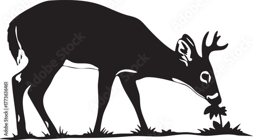 Whitetail Deer Grazing Silhouette Vector