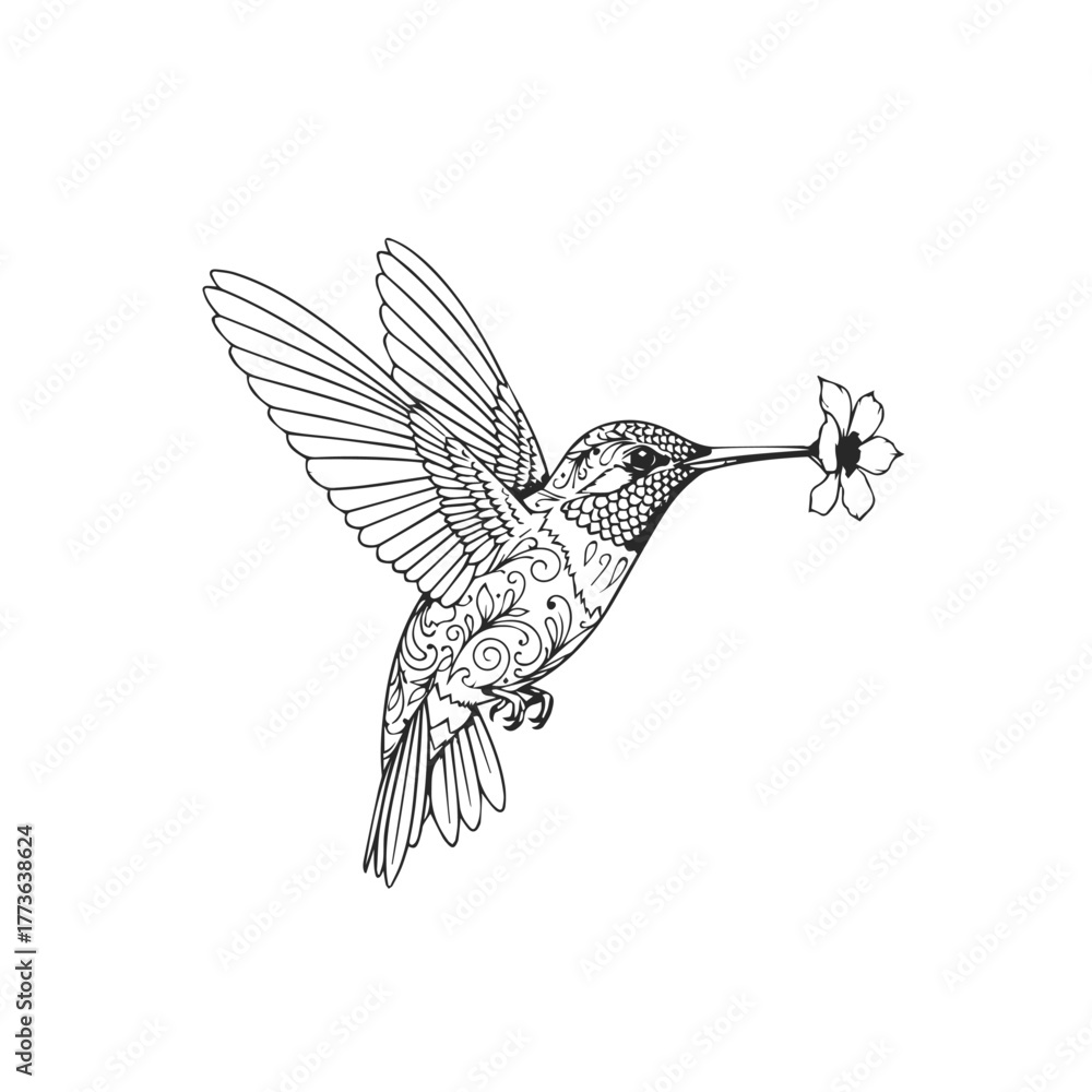 Obraz premium Ornate Hummingbird with Flower Illustration.