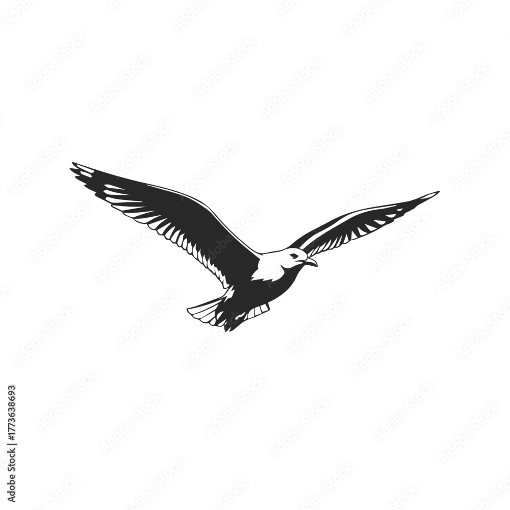 Fototapeta premium Silhouette of a Seagull in Flight.