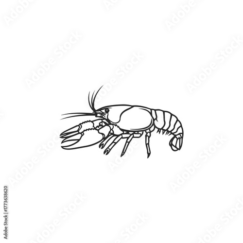 Minimalist Line Art Illustration of a Crawfish.