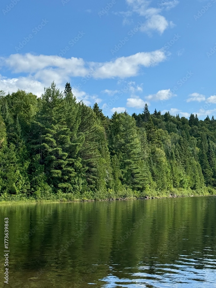 Obraz premium lake in the forest in Mauricie, Québec, Canada