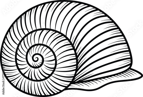 Snail Illustration Set. Garden Snail Outline Collection. Big Snail Line Art Design. Land Snail Minimal Icons. Snail Shell Drawing Set. Crawling Snail Outline Elements