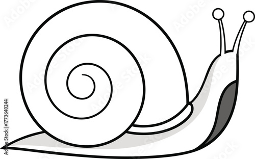 Snail Illustration Set. Garden Snail Outline Collection. Big Snail Line Art Design. Land Snail Minimal Icons. Snail Shell Drawing Set. Crawling Snail Outline Elements