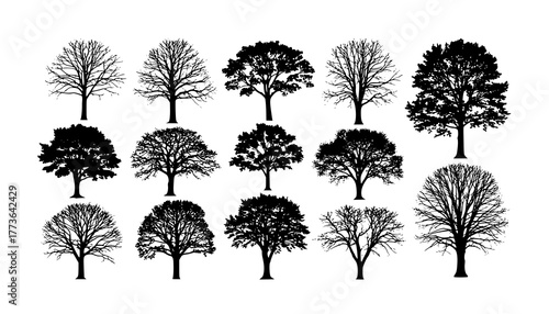 various deciduous trees silhouettes on the white background. vector set. PNG white background
