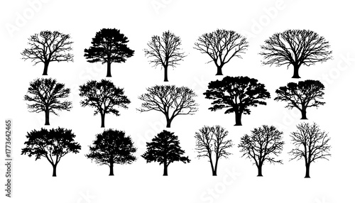 various deciduous trees silhouettes on the white background. vector set. PNG white background
