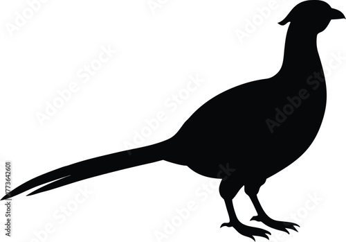 Simple pheasant icon isolated graphic