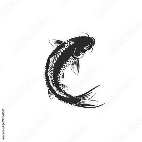 Elegant Black Koi Fish Vector Illustration.