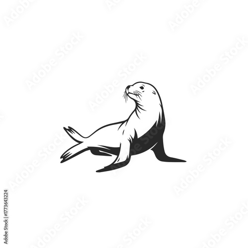 Elegant Seal or Sea Lion Vector Illustration.