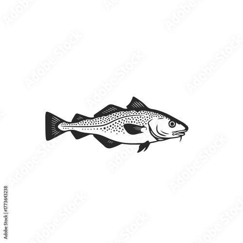 Hand Drawn Cod Fish Illustration Vector Art.