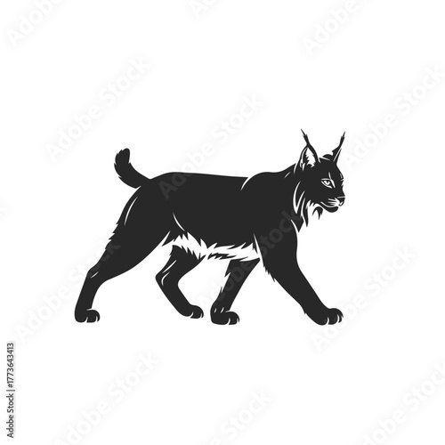Powerful Lynx Silhouette Walking Wild Cat.