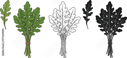 Three arugula bunches in color, outline, and black and white versions