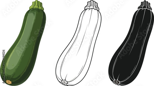 Three zucchini illustrations: one colored, one outline, one silhouette