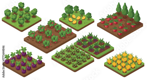 Isometric garden plots: diverse crops and vegetables in 3d farm design