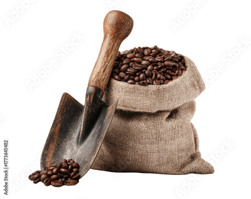 Rustic burlap sack overflowing with rich coffee beans, a wooden shovel beside it