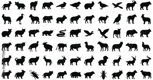 Wild Animal Silhouette Set Vector Illustration of Safari and Forest Animals