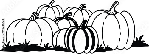 Group of hand drawn pumpkins and gourds illustration set in a cluster of fall harvest vegetables, featuring simple black and white line art sketch on a white background, perfect for seasonal designs.