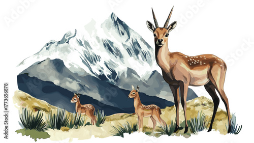 Eduardo Avaroa Andean Fauna National Reserve. Eduardo Avaroa Andean Fauna National Reserve hand drawn watercolor illustration