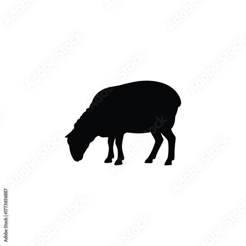 Black silhouette of a sheep grazing on a white background