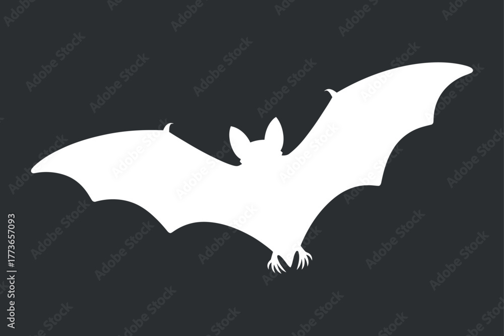 Fototapeta premium White Bat Silhouette Vector on Dark Background