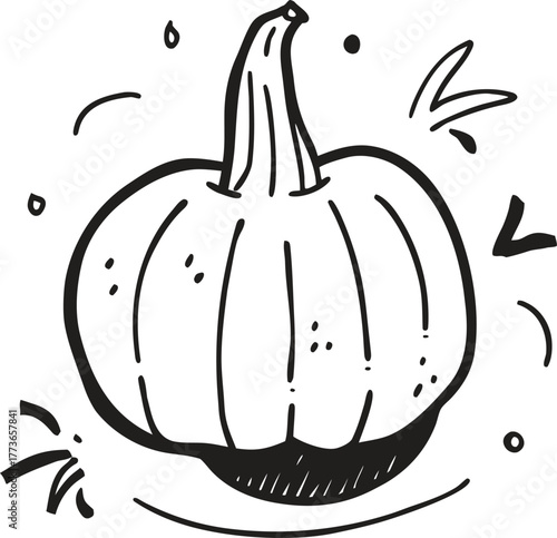 Hand drawn vector illustration of a squash or pumpkin suitable for autumn harvest, thanksgiving, or halloween themes, presented in a black outline doodle style.