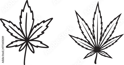Hand Drawn Cannabis Leaf  Medical Marijuana and Hemp Doodle Style Clipart Illustration