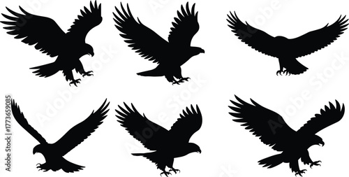 Eagle silhouettes in flight, black bird shapes isolated on white background, flying hawk illustration, predatory raptor design for wildlife art