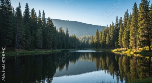 Calm lake reflects lush forest, with sunlit haze on distant mountains