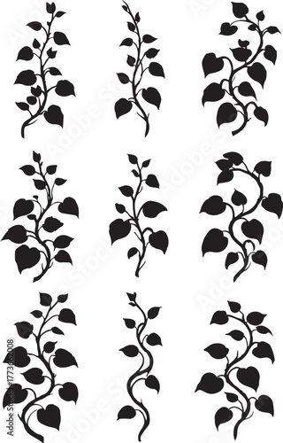 bundle of realistic climbing plant silhouettes.