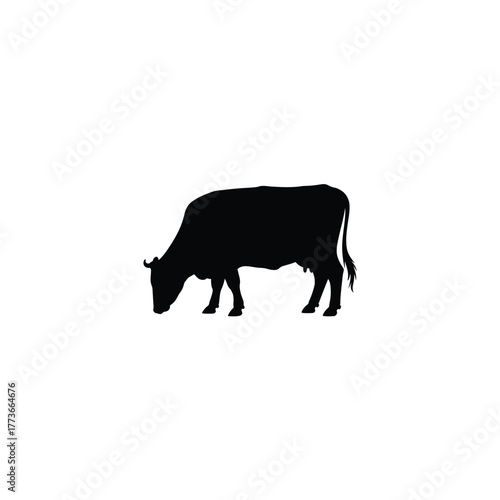 Black silhouette of a cow grazing in a field