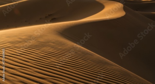 Fototapeta Naklejka Na Ścianę i Meble -  Golden sand dunes with flowing ripples under warm sunlight