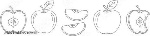 Apple outline drawing vector illustration fruit collection