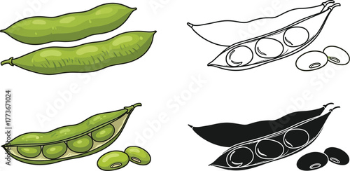 Illustration of edamame pods in color outline and silhouette style