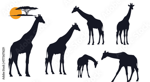 A varied collection of black giraffe silhouettes in natural poses, standing tall and bending to feed, on a white background, featuring an African sunset and iconic acacia tree.