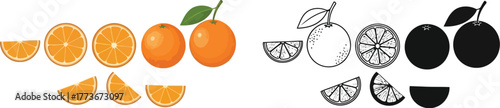 Orange fruit vector illustration set fresh and slice oranges