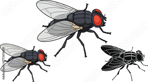 Illustration of three flies with red eyes on a white background