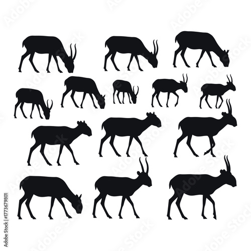 Collection of silhouette illustrations of various antelope species in different poses showing their distinctive horns and body shapes against a white background