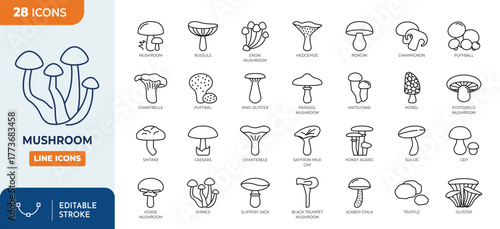 Minimalist Edible mushroom outine icons set with editable stroke. featuring icons of various mushroom types. thin linear illustration. Vector illustration	