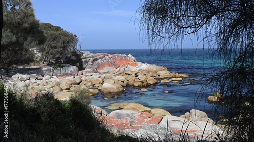 spectacular bay of fires with vibrant and bright orange lichen covering the rocks, a popular travel destination in Tasmania, Australia.
