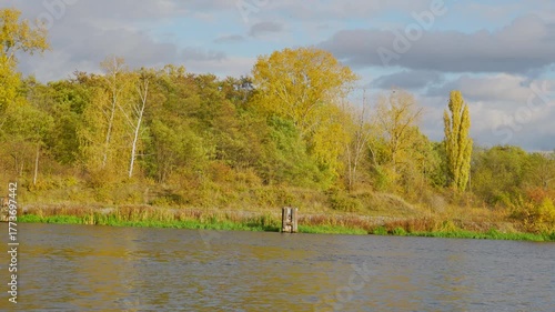 timelapse yellow trees by the river in autumn