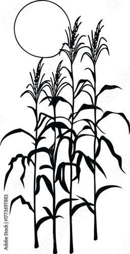 Abstract cosmic nebula swirl with distant stars and galactic dust clouds isolated on transparent background