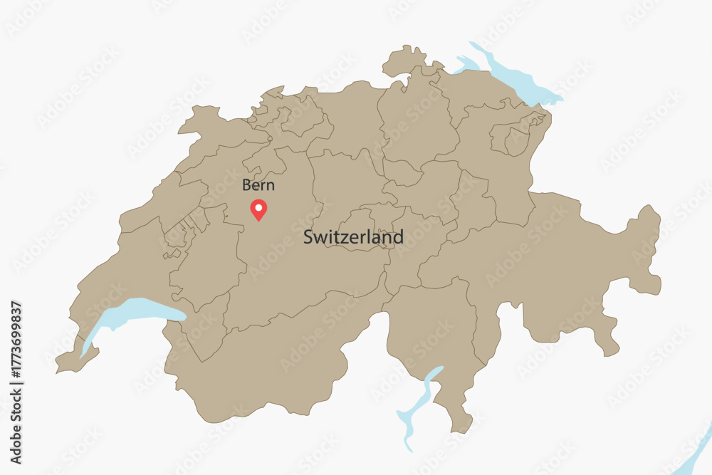 Obraz premium Vector graphic artwork suitable for print and web containing flat detailed map of SWITZERLAND