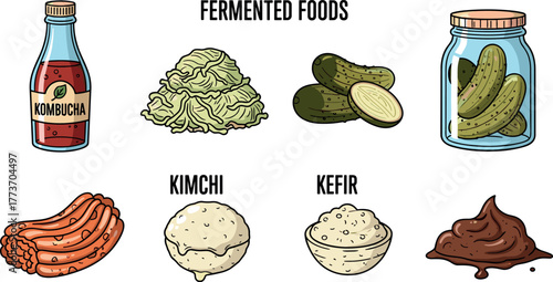 Collection of diverse fermented foods and ingredients.