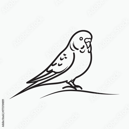 Budgerigar bird silhouette vector illustration on white background