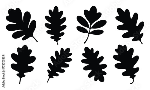 Oak leaf silhouette vector, set of autumn leaves silhouette vector