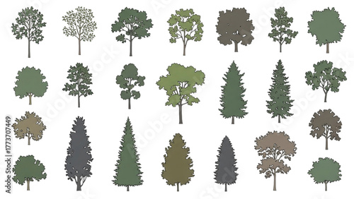 Tree Diversity Forest and Woodland Variety Illustration