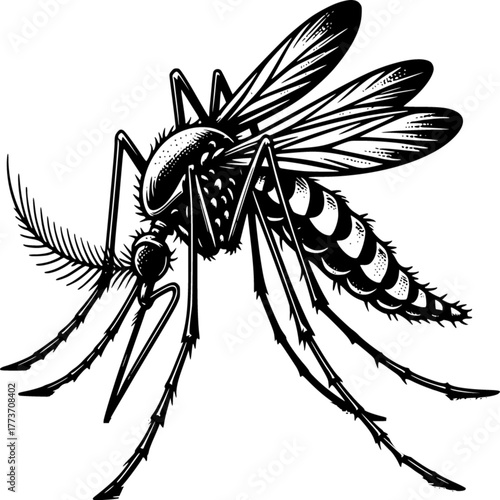 Black and white butterfly wing tattoo vector illustration with a spider web and arachnid danger design