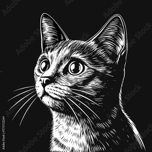 Detailed illustration of a cat's face on a black background  