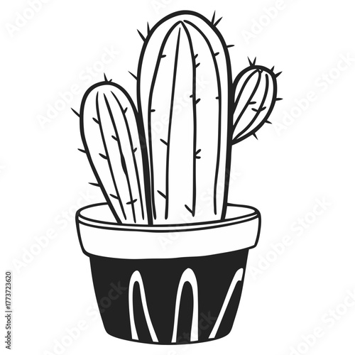 vector illustration of a  cactus