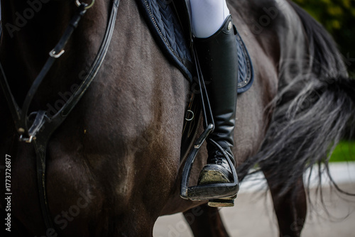 A professional female rider saddles a dressage horse during training or competition—an unrecognizable close-up, focusing on the boots in the stirrup. Conceptually, it depicts love for animals and hobb