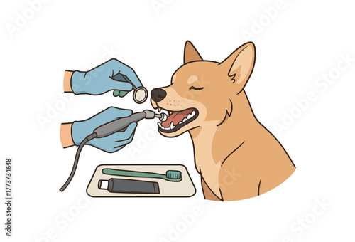 dog dental polish professional cleaning and oral hygiene maintenance flat vector illustration style isolated on white background